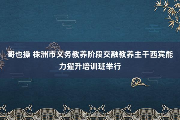 哥也操 株洲市义务教养阶段交融教养主干西宾能力擢升培训班举行