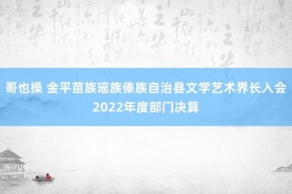 哥也操 金平苗族瑶族傣族自治县文学艺术界长入会2022年度部门决算