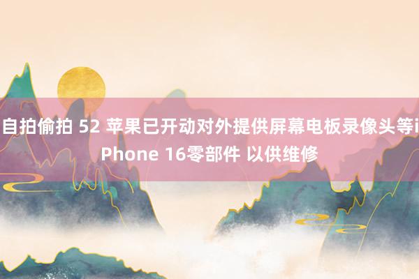 自拍偷拍 52 苹果已开动对外提供屏幕电板录像头等iPhone 16零部件 以供维修
