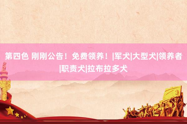第四色 刚刚公告！免费领养！|军犬|大型犬|领养者|职责犬|拉布拉多犬