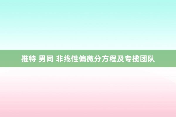 推特 男同 非线性偏微分方程及专揽团队