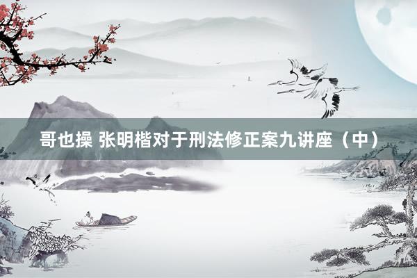 哥也操 张明楷对于刑法修正案九讲座（中）