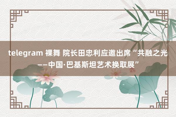 telegram 裸舞 院长田忠利应邀出席“共融之光——中国·巴基斯坦艺术换取展”
