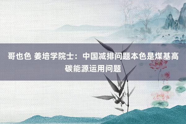 哥也色 姜培学院士：中国减排问题本色是煤基高碳能源运用问题