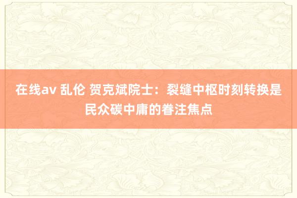 在线av 乱伦 贺克斌院士：裂缝中枢时刻转换是民众碳中庸的眷注焦点