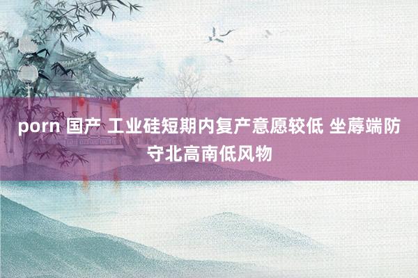 porn 国产 工业硅短期内复产意愿较低 坐蓐端防守北高南低风物