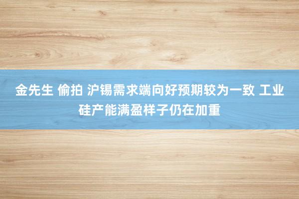 金先生 偷拍 沪锡需求端向好预期较为一致 工业硅产能满盈样子仍在加重