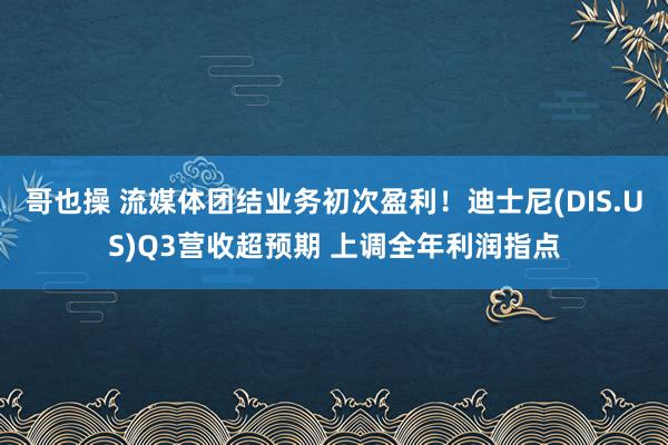 哥也操 流媒体团结业务初次盈利！迪士尼(DIS.US)Q3营收超预期 上调全年利润指点