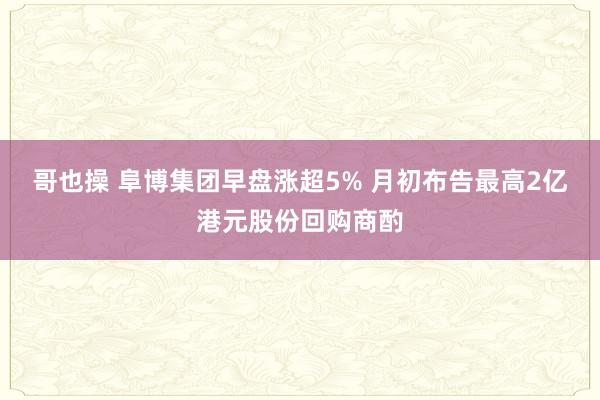 哥也操 阜博集团早盘涨超5% 月初布告最高2亿港元股份回购商酌
