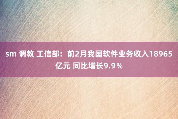 sm 调教 工信部：前2月我国软件业务收入18965亿元 同比增长9.9％